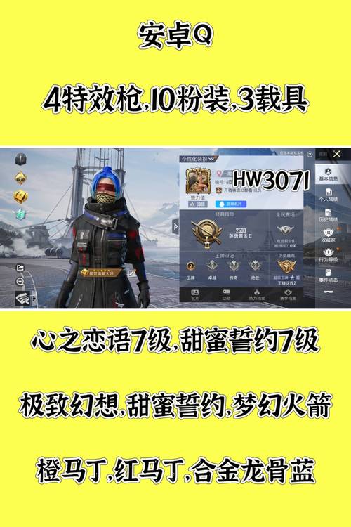 和平精英无后座挂购买游戏截图