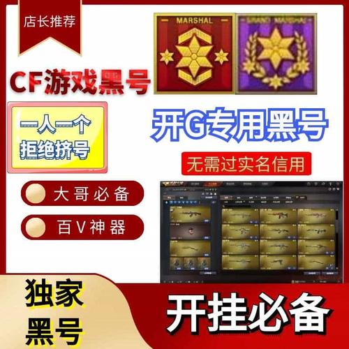 穿越火线黑号购买网站游戏截图