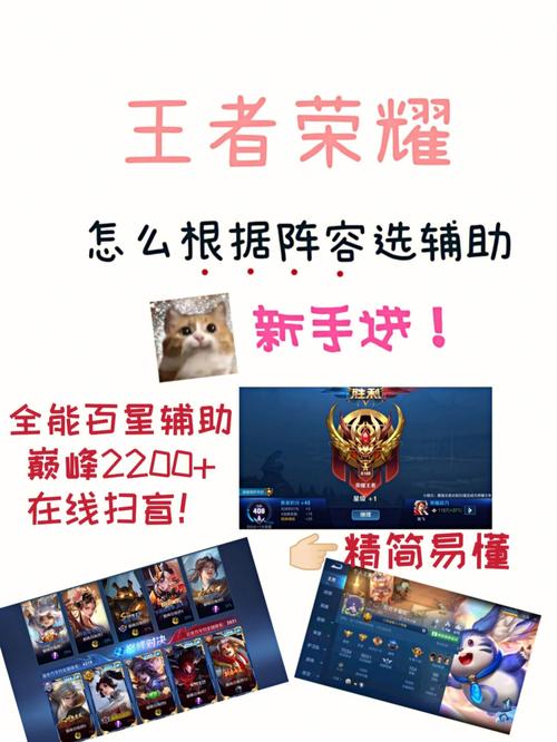王者荣耀辅助是怎么分钱的游戏截图