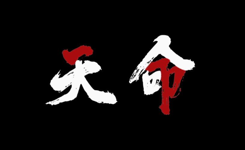 天命直装游戏截图