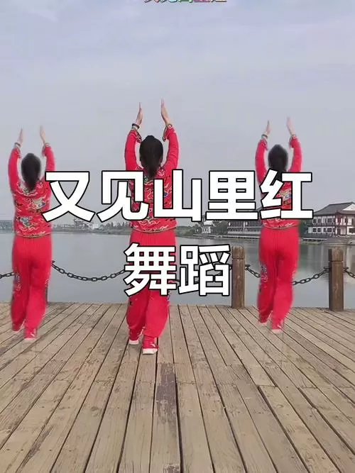 糖豆广场舞《又见山里红》32步缩略图
