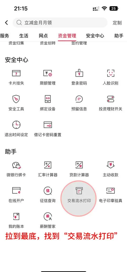 如何查十年前银行记录游戏截图