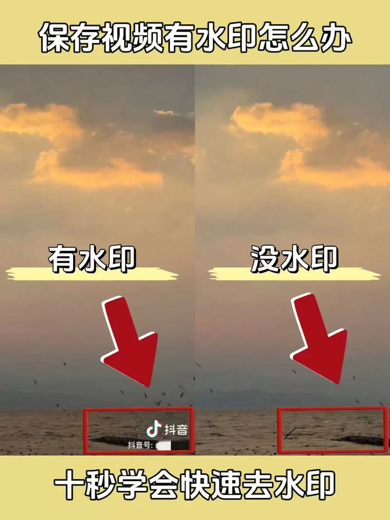 视频去水印精灵破解版缩略图