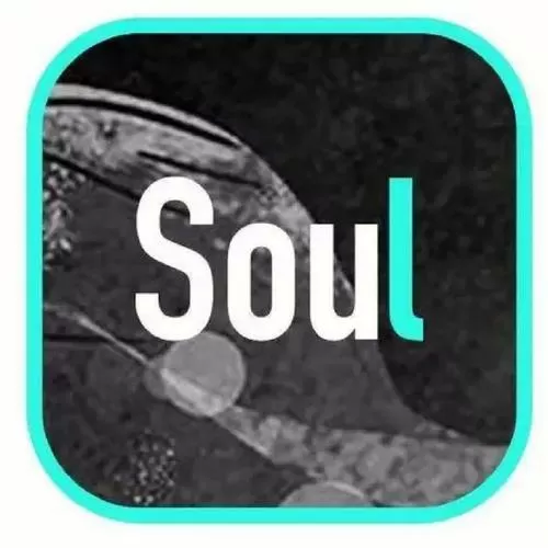 最新版本soul下载安装缩略图