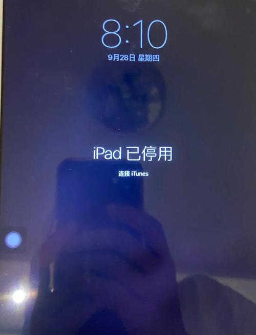 已在ipad上停用查找是什么意思图标