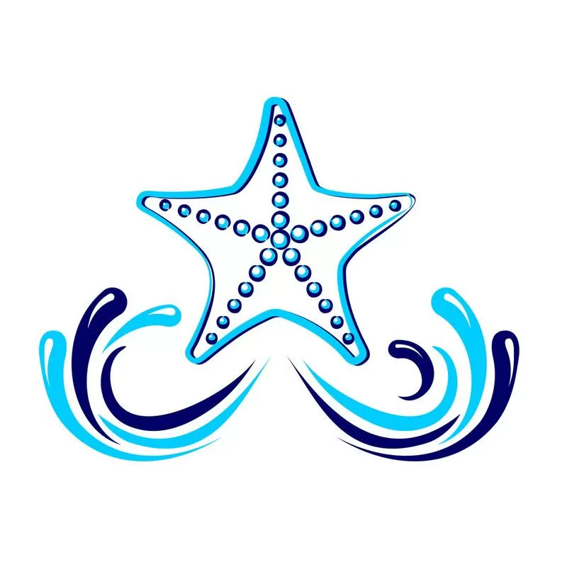 海星怎么行走