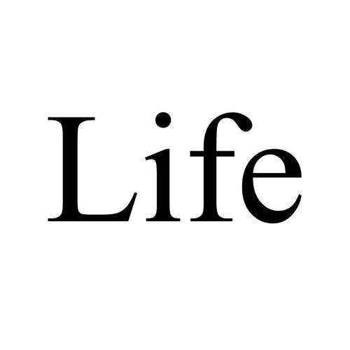 life怎么调中文游戏截图