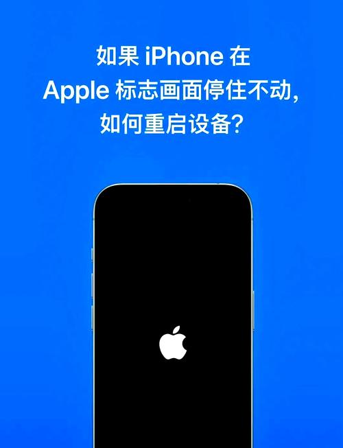 苹果16开不了机出现两个图标
