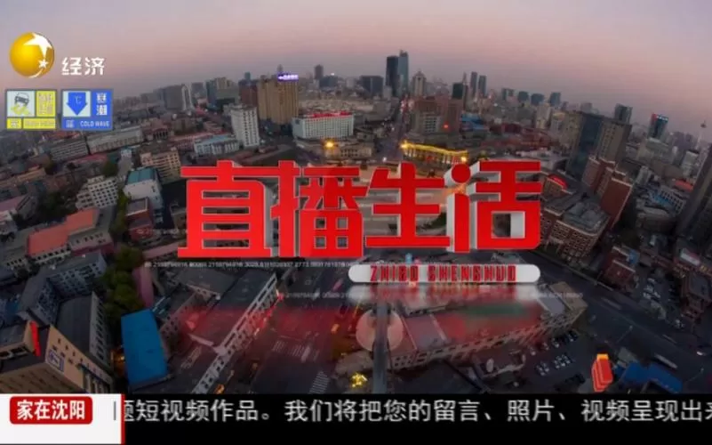 辽宁电视台经济频道直播生活游戏截图