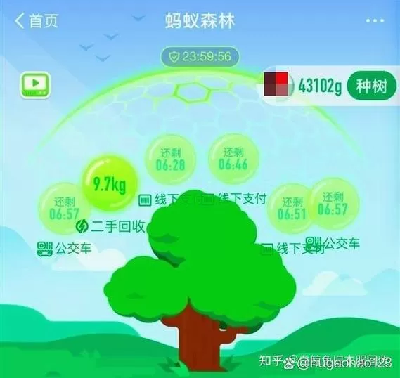 支付宝蚂蚁森林怎么获得绿色能量