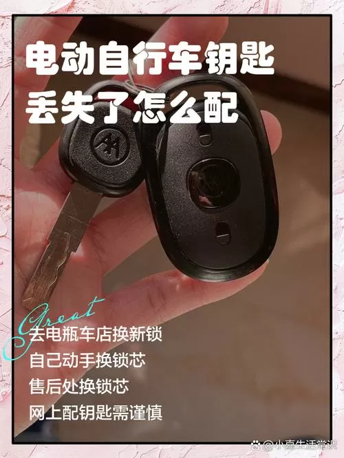 电瓶车遥控器丢了怎么办 钥匙还在游戏截图