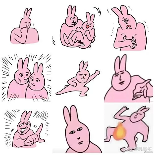 恶搞兔子表情包缩略图