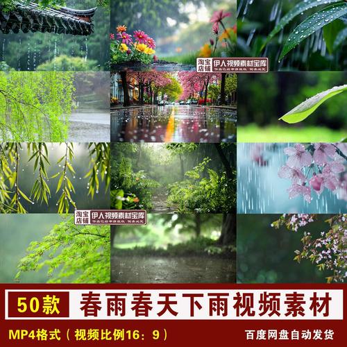 春雨免费观看全集完整版视频