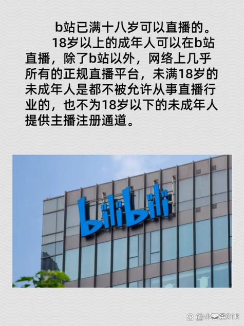 主播户外勾塔路人直播的是谁游戏截图