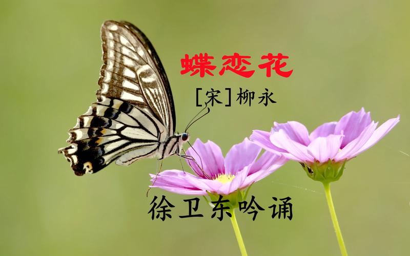 泰拉瑞亚上帝模式mod叫什么内置VIP游戏截图