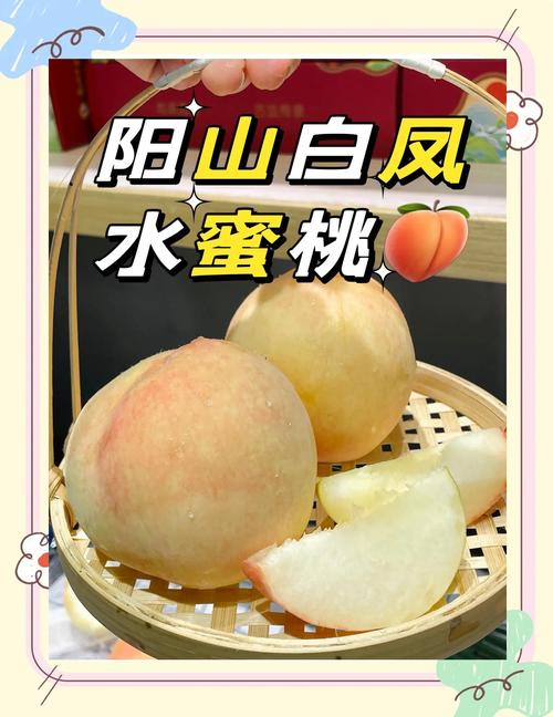 水蜜桃免费观看电视剧缩略图