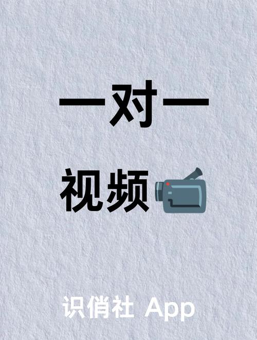 1对1视频聊天听指挥游戏截图