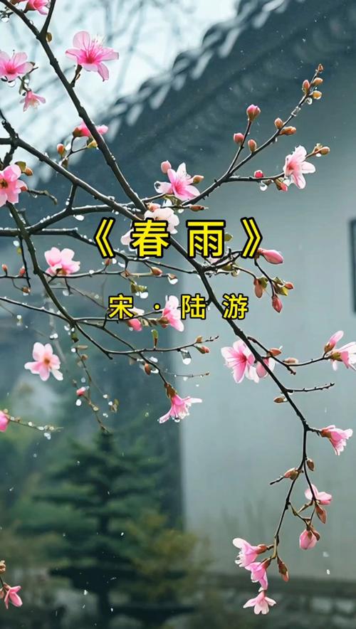 春雨免费全集在线播放