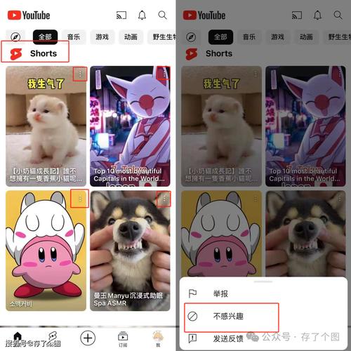 YouTube APP