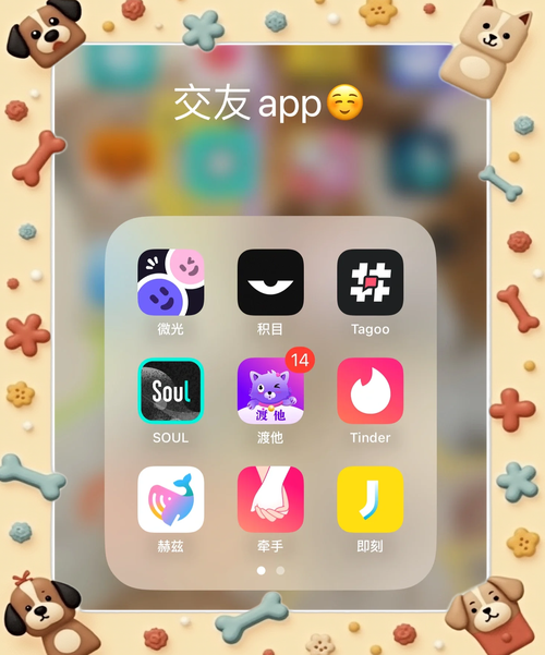 TSCD交友App