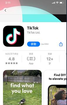 亚洲版tiktok官网入口