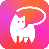 猫咪直播链接缩略图