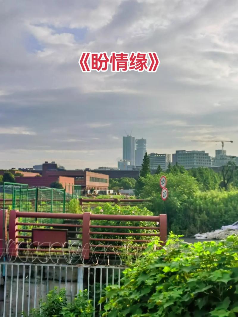 盼情缘高清画质游戏截图