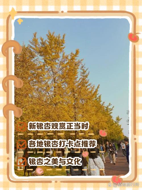 新银杏在线观看免费播放电视剧游戏截图