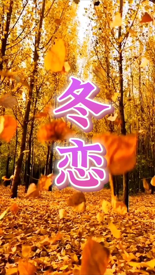 歌曲冬恋伴奏带