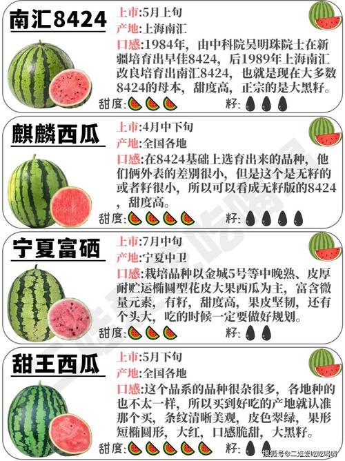 西瓜聊天官方版
