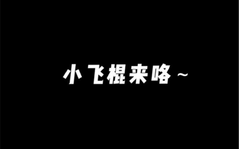 小飞棍来了原声版图标