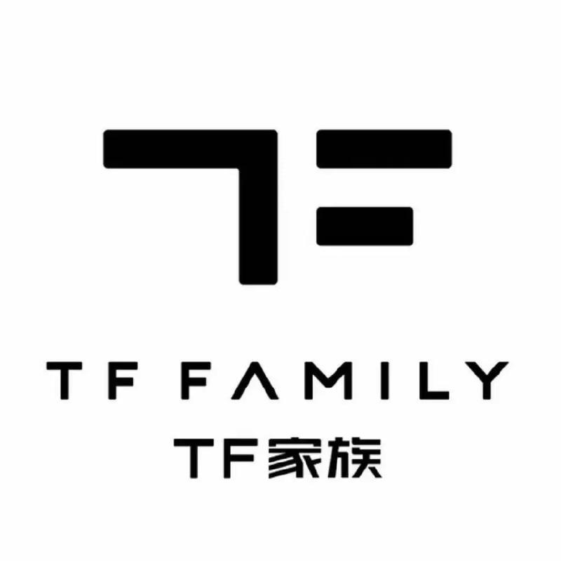 TF.官网黑色版免墙版游戏截图