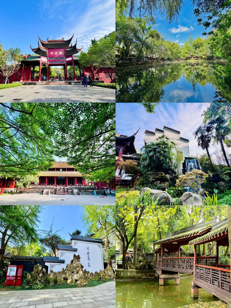 红楼阁app最新版本