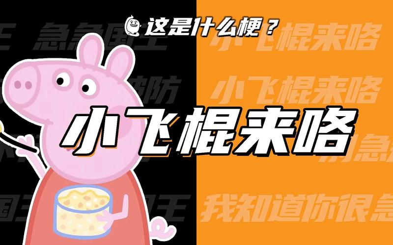 小飞棍聊天平台官网