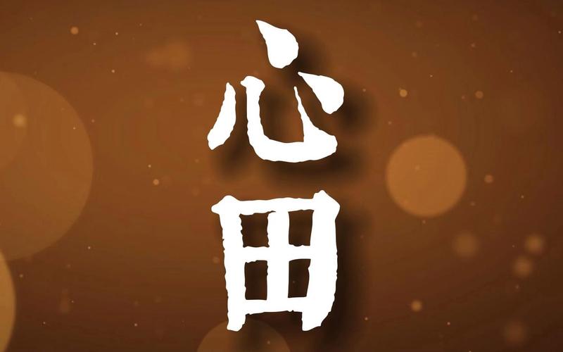 心田app最新版游戏截图