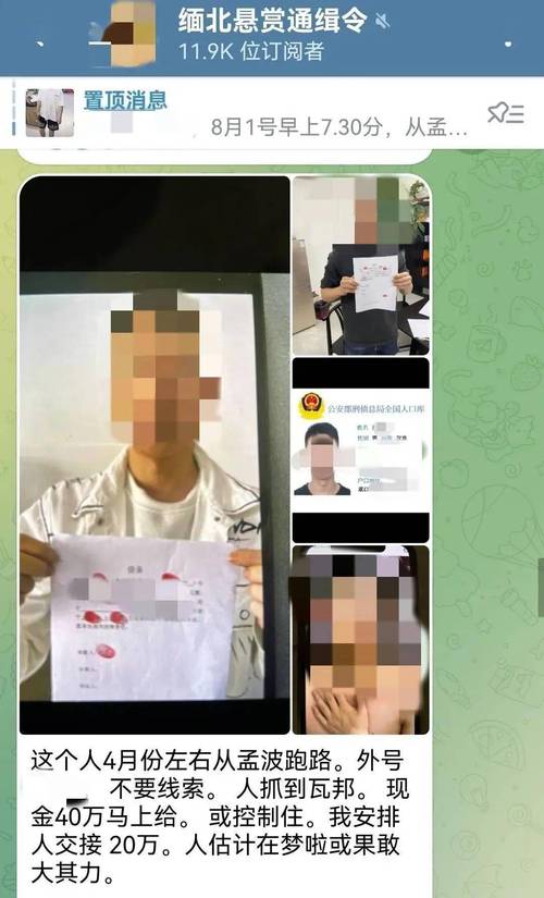 pop软件聊天是缅北用的吗游戏截图