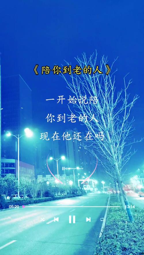 陪你到老的人mp3游戏截图