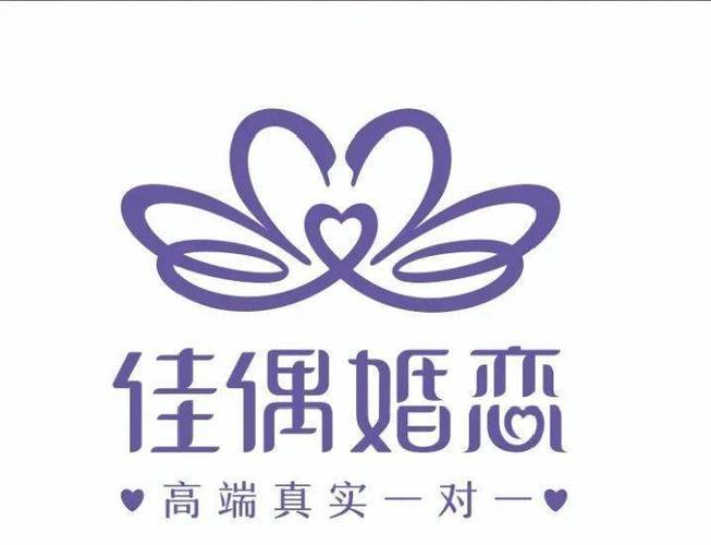 佳偶成对电视版游戏截图