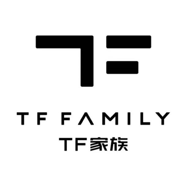TF官网定制版游戏截图