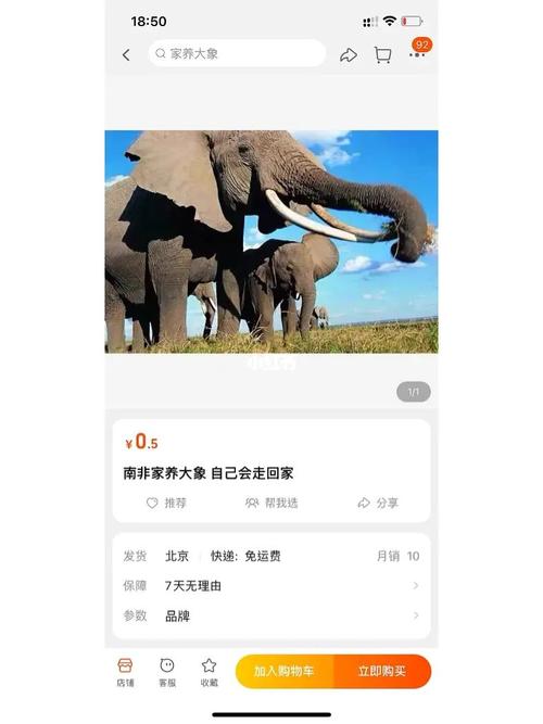 大象聊天软件