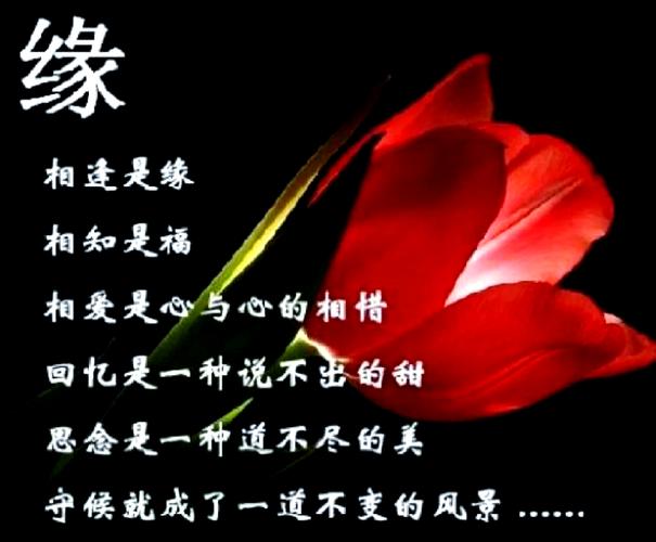 相识是缘分
