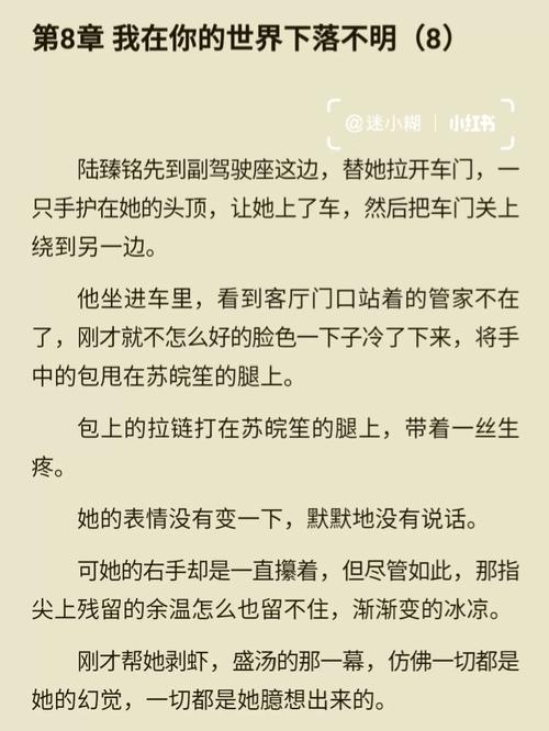 你是我心心念念的未来TXT