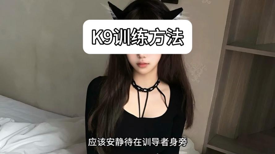 k9女犬日常训练