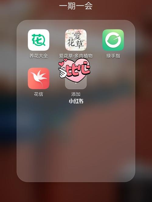 爱花草app改名后叫什么