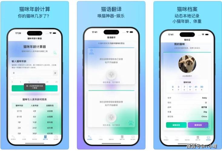 猫咪App破解新版