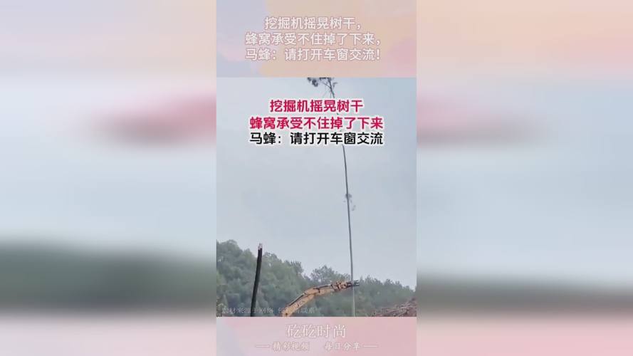17.c14起草视频