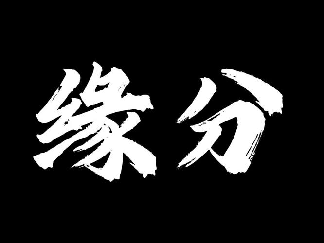 步步宝走路赚钱去限制版游戏截图