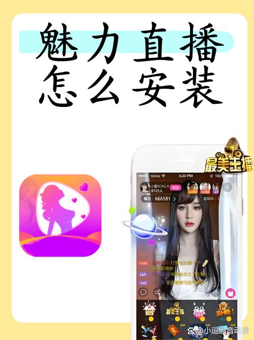 魅力直播怎么安装