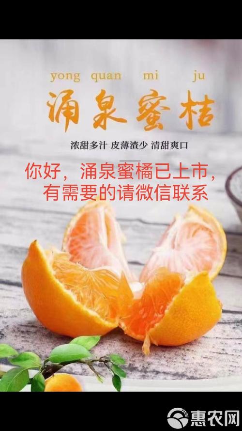 蜜桔安装官网最新版游戏截图