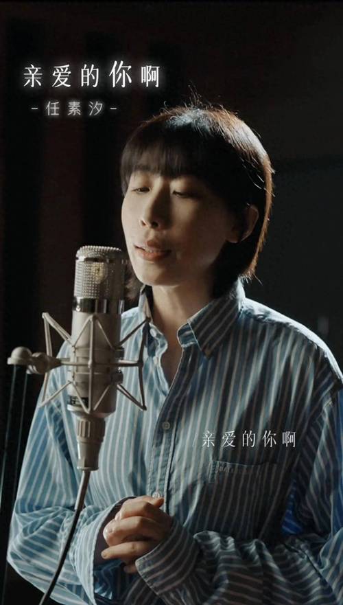 亲爱的你呀任素汐mp3游戏截图